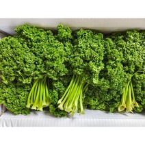 국내산 생파슬리 300g 600g 1kg 오일만주스 키트( 파슬리 300g + 레몬5개) 파세리, 파슬리600g