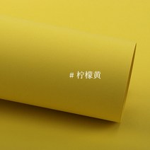 230-250g 엘로우 색상 특수 종이 스킨 톤 펄라이트 수제 판지 만들기 재료 고품질 두꺼운 대형 용지, A2(42×59.4cm)레몬 옐로우 10장