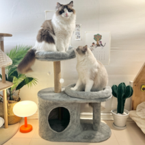 펫카 계단식 2단 고양이 하우스 집 소형 캣타워, 1개