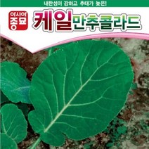 아시아종묘 케일씨앗 만추콜라드 (10g)