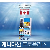 비 프로폴리스 스프레이 캐나다산 플라보노이드 PROPOLIS 력강화