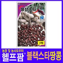 헬프팜 블랙스타땅콩 500립 종자 그린하트바이오