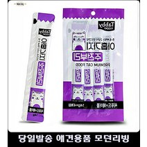 사냥 아기고양이키우기 고양이스트레스해소 아깽이장난감