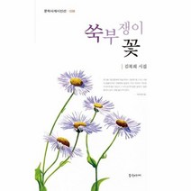 쑥부쟁이꽃 038 문학사계시인선, 상품명