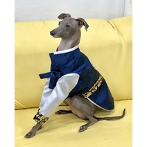 이탈리안 그레이하운드 한복 설 추석 명절 전통 소품, 풀색-연노랑