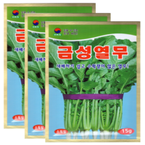 한국종묘 열무씨앗 15g-3봉 순도균일 쉬운재배 다수확 부드러운잎