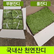 충남금산잔디 추천 TOP 3