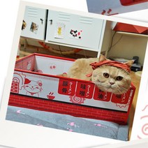 고양이 마약박스 뚱냥이전용 스크래쳐 고양이발톱 캣박스 스크레처 고양이집