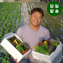 친환경 유기농 무농약 케일 (즙용/쌈용), 즙용 2kg