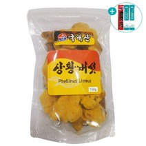국내산 상황버섯 분말 100% 국산 장수 상황 버섯 베타글루칸 에너지 물 진액 차 가루 선물세트 실속형 대용량, 원물 150g, 1개