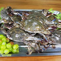 연평푸드에서 선별한 서해안 급냉꽃게 국내산 100%, 급냉 꽃게, 암꽃게, 1kg, 1개