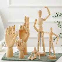 모비딕파워 [모비딕파워] 인체묘사 손모양인형 데생용인형 과학관절인형 관절손 우드손 관절인형, 아★ 나무인형 뎃생 원목구체 인체모형 미술 인테리어 목, 아★ 나무관절 왼손 30Cm