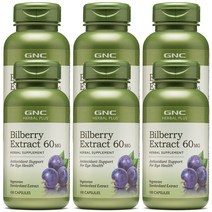 GNC 빌베리 60mg 100정 x 6 (총6개)