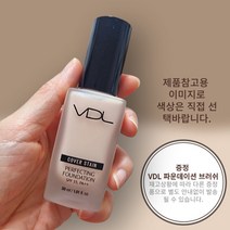 [본사정품] VDL 커버스테인 퍼펙팅 파운데이션 + 브러쉬, A01