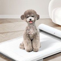 왈츠 펫토일렛 강아지 자동 화장실 (본품 + Z패드 2팩)