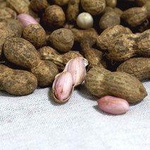 2023 국산 햇 예천땅콩 쪄먹는 피땅콩 생땅콩 흙땅콩 1kg-4kg, 1개, 피(흙)땅콩 3kg