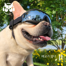 강아지고글 모자 고양이 썬캡 헬멧 고글 옷걸이 커플룩 중형견옷 봄옷 애견의류 애견, 04. 화이트 투명 모델