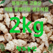 창조농산 골뱅이형 생초석잠 (비세척), 1박스, 2kg