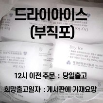 드라이아이스 10조각(부직포)(12시전당일출고*희망출고일게시판)