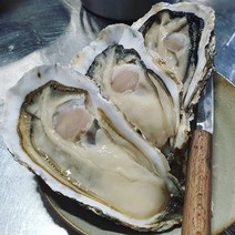 통영 피꼬막1kg 외 해산물고르기 당일조업 총알발송, 1개, 삼배체굴2kg대