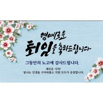 명예 정년퇴직 퇴임 환갑 칠순 현수막 돈케이크 XB, 60, 포토형, 150-200cm