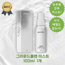 그라운드플랜 미스트 여드름 승무원 미스트, 100ml, 1개