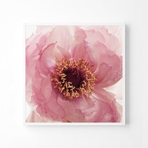 풍수아트 12.M 투명레드 | 캔버스액자 중대형20호 [60.6x60.6cm]