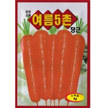 당근씨앗 여름5촌당근 씨앗 4g