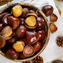 국내산 알밤 칼집밤 삼조생 옥광밤, 삼조생 (알밤)대1kg, 1개