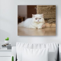 귀여운 고양이 사진 캔버스액자 (고객님 야옹이 사진으로도 제작 가능합니다), CAT14