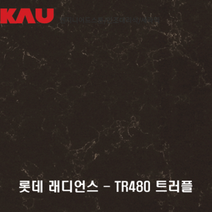 롯데 래디언스 트러플/엔지니어드 스톤 싱크대 상판 교체/가우테크 자재 판매, TR480 트러플