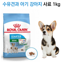 [신제품] 임신한 소형견 영양사료 마더 베이비독 1kg 기호성 푸들 말티즈 포메 비숑 시츄 말티즈 수유견, 습식통조림X12개