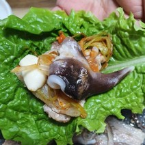 국내산 손질 새조개 500g 30-40미내외