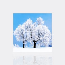 DIY 세트 도구 겨울나무 눈꽃나무 40x40cm 부분5D 샤이닝큐빅 보석십자수 국산정품