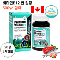 캐나다산 30대 40대 먹기편한 비타민비군 고함량 고농축 b12 엽신대사 출산후 임산부 직장인 초등 중학생 고등학생 고3 수험생 어르신 수용성 비타민 영양제 약 알약 90정 3개월분, 1개, 485mg 100정