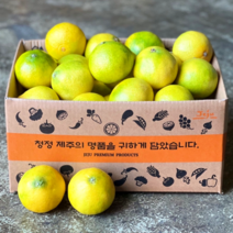 프리미엄 고당도 제주 서귀포 하우스 황금향, 1개, 가정용 2.5kg 대과 (5-9과 내외)
