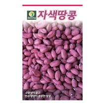 헬프팜 자색땅콩 20g 땅콩씨 씨앗 종자 다농, 1개