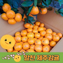 제주감귤 알찬노지감귤 5kg못난이귤 10kg못난이귤 내고향제주감귤, 가정용 5kg
