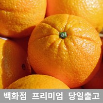 [특등급선별] 오렌지 10kg 블랙라벨오렌지 열대과일 고급과일 오렌지블랙라벨 오렌지가격 캘리포니아오렌지 블러드오렌지 오렌지씨 카라카라오렌지 네이블오렌지 썬키스트오렌지 블랙오렌지