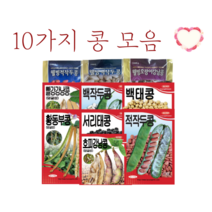 10가지 콩 씨앗 모음집 [23년포장] 강낭콩 작두콩 서리태콩 동부콩 콩종자, 백태콩 50g