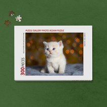 300피스 반려동물 사진 직소퍼즐 제작 (액자포함), 본상품선택, 10. 우드앤틱, 본상품선택