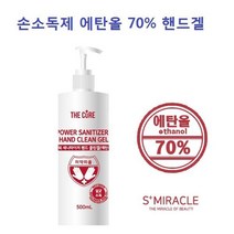 방역 도매 용기 손세정제리필 BB605 살균제 손세정제대용량 업소용 소독제 가정용, 손소독제 500ml