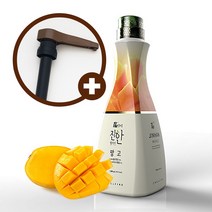 웰파인 더진한 망고농축액 1.5kg + 유니버셜소스펌프, 단품