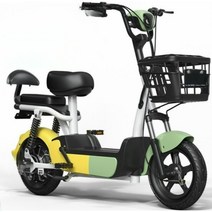 2인용전기자전거 가성비 유아동반 배달용 전기자전거 2인, 14A 정품 배터리 + 배터리 60km, 48V