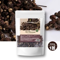 국산 지구자 말린 헛개열매 500g 헛개나무 열매 먹는법 헛개차