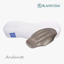 가누다 블루라벨 안단테 싱글세트 (베개1+허리냅) 기능성 베개, 단품