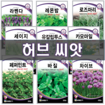 허브씨앗 모음 / 허브씨 라벤다 레몬밤 로즈마리 바질 세이지 유칼립투스 차이브 카모마일 페퍼민트 종자 씨, 06.유칼립투스 씨앗 10립