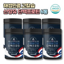 헬스 식사대용 프로틴 산양유 단백질 쉐이크 파우더 6통 네덜란드산 고소한 크림맛 고칼슘 운동후 웨이 유청 가루 어린이 키즈 청소년 성장기 임산부 부모님 노인 시니어 해썹인증