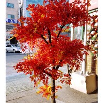 단풍나무 맞춤형/높이 1m20cm~1m80cm/장소에 맞게 주문제작/오리지널 단풍/인조 조화나무/조경 인테리어, 1m20cm