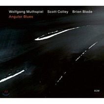 [CD] Wolfgang Muthspiel (볼프강 무스필) - Angular Blues
